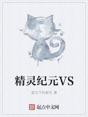 精灵纪元VS